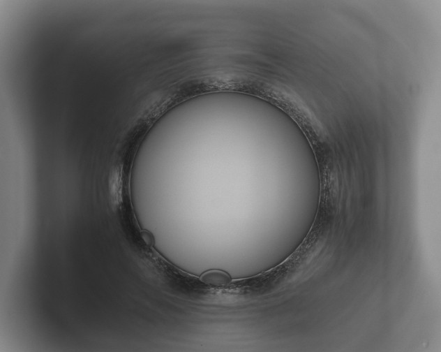 X0000102380694200808081138