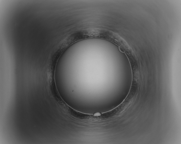 X0000102380697200808081138