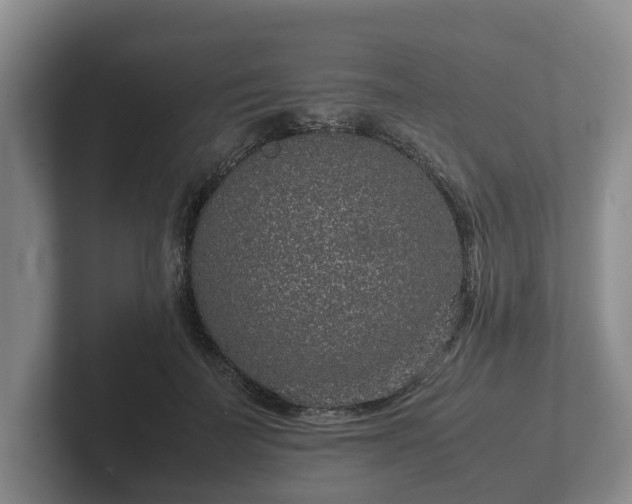 X0000102380699200808081138