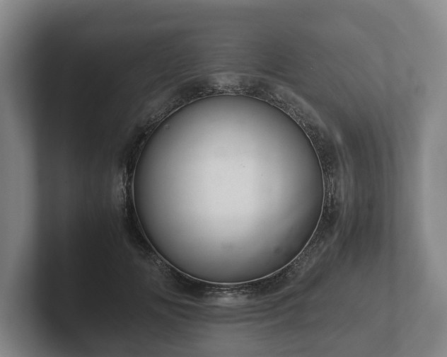 X0000102380702200808081137