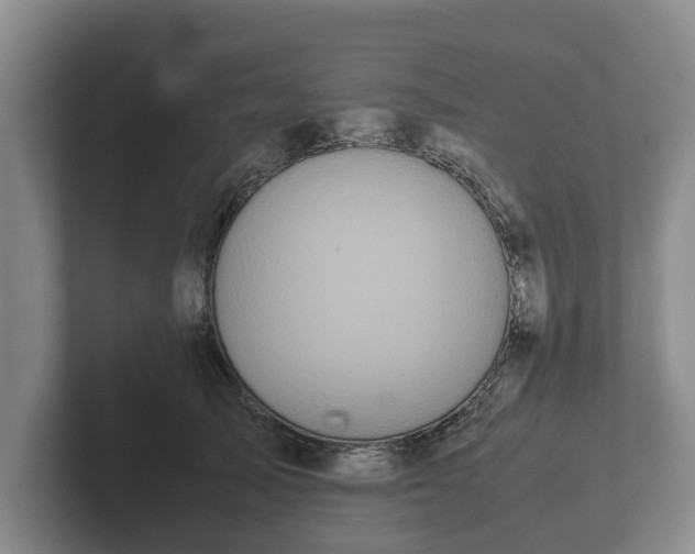 X0000102380705200808081137