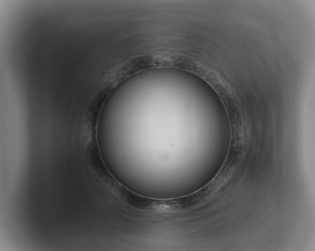 X0000102380706200808081137