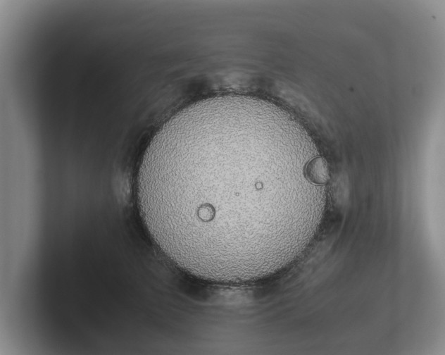 X0000102380709200808081137