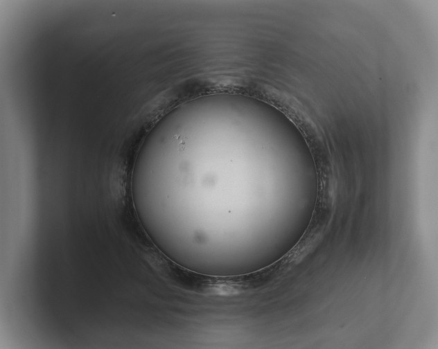 X0000102380710200808081137