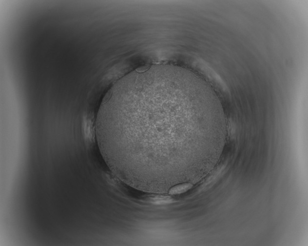 X0000102380719200808081137