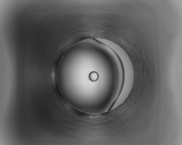 X0000102380720200808081137