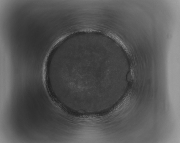 X0000102380724200808081137