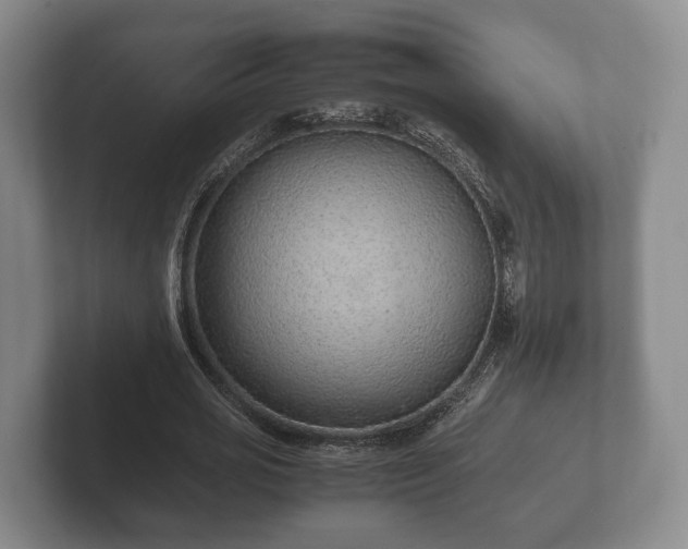 X0000102380725200808081137