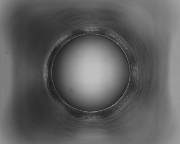 X0000102380727200808081137