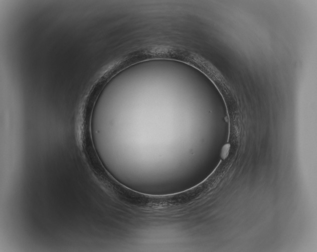 X0000102380728200808081137