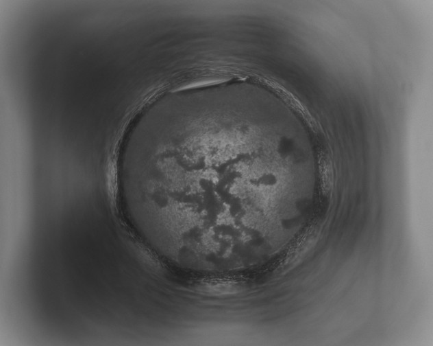 X0000102380729200808081137