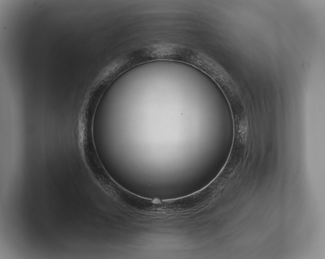 X0000102380732200808081137