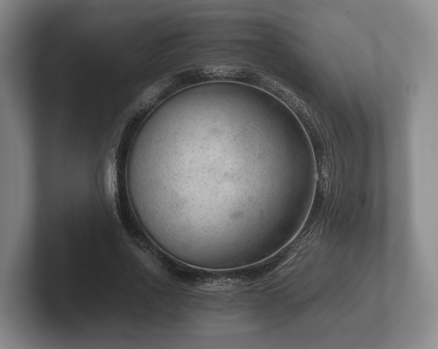 X0000102380734200808081137