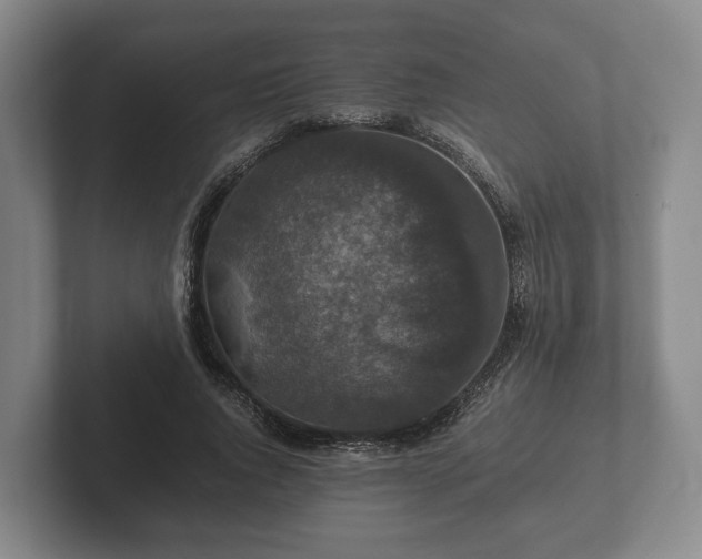 X0000102380736200808081137