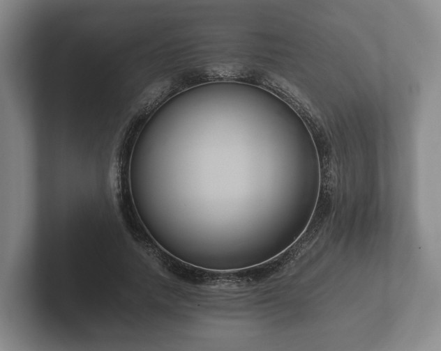 X0000102380738200808081137