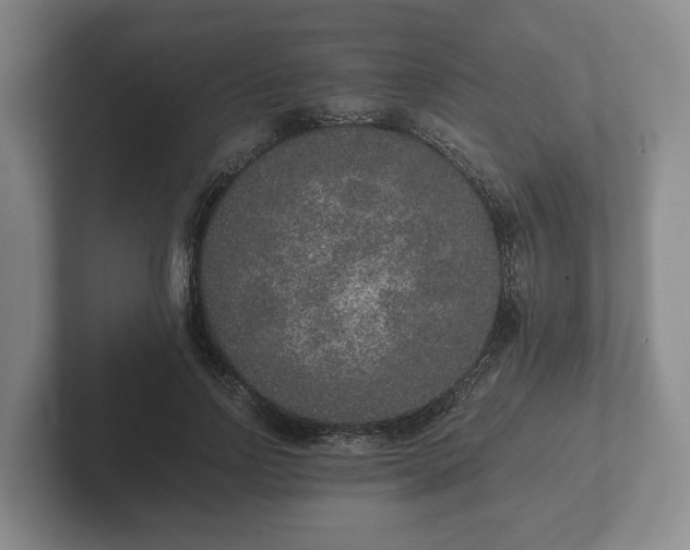 X0000102380742200808081137