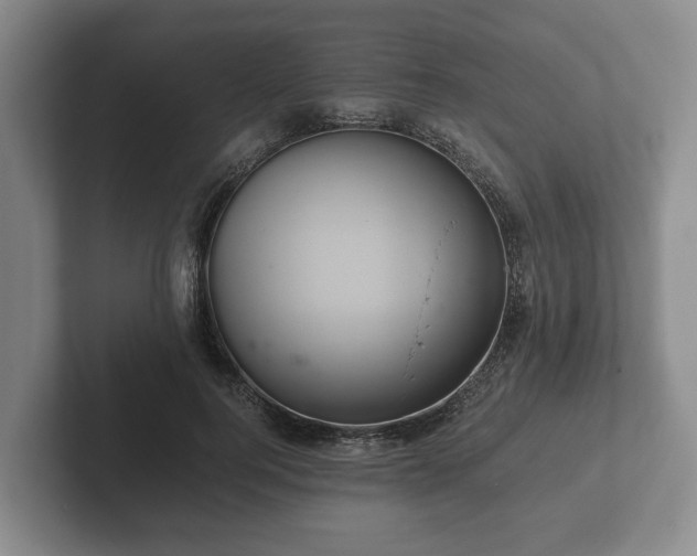 X0000102380744200808081137