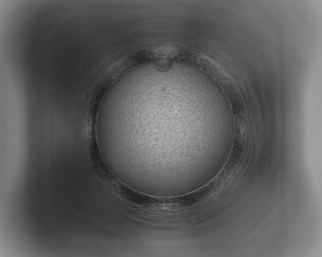 X0000102380745200808081137