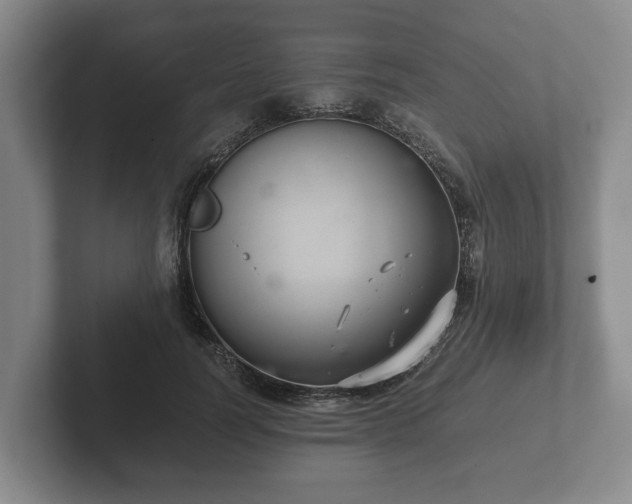 X0000102380746200808081137