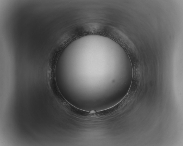 X0000102380750200808081137