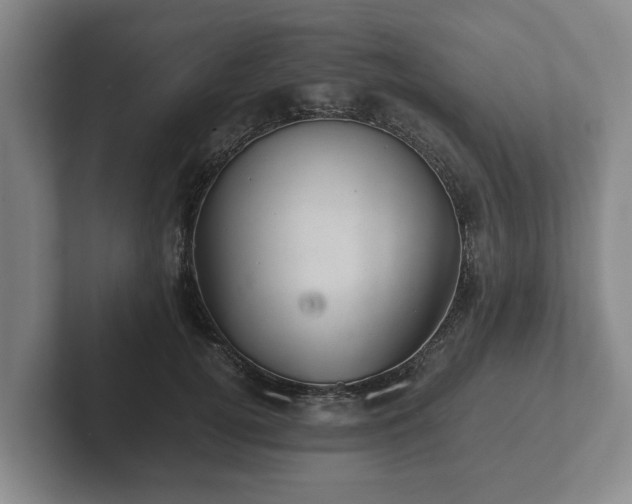 X0000102380752200808081137