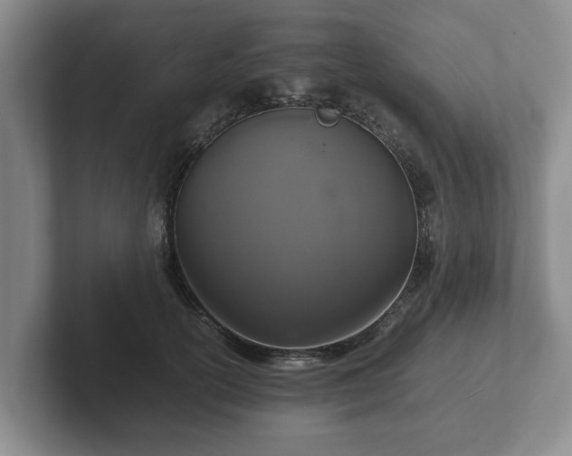 X0000102380754200808081137