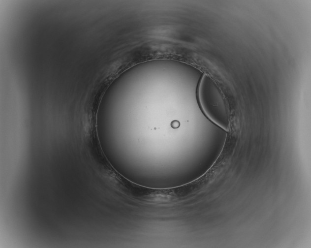 X0000102380756200808081137