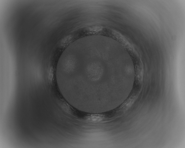 X0000102380758200808081137