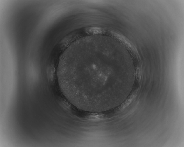 X0000102380760200808081137