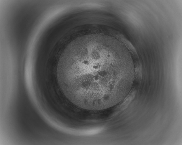 X0000102380765200808081137