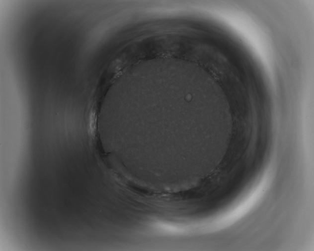 X0000102380767200808081137