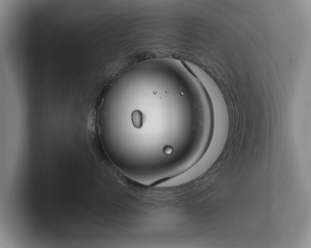 X0000102380768200808081137