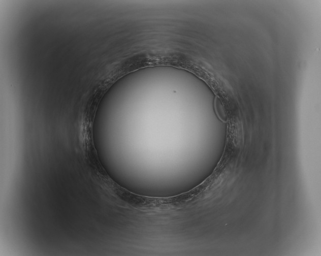 X0000102380770200808081137