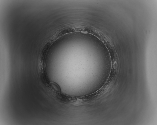 X0000102380772200808081137