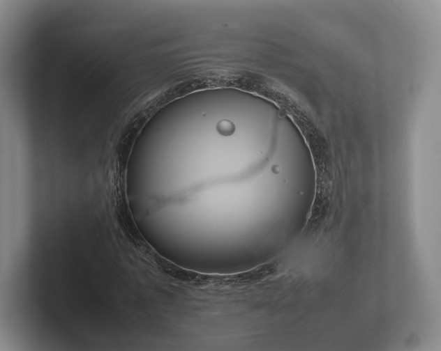 X0000102380773200808081137