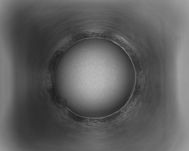 X0000102380774200808081137