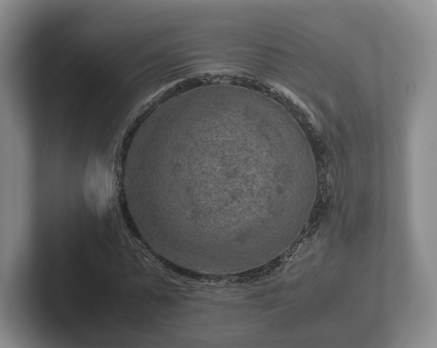 X0000102380775200808081137