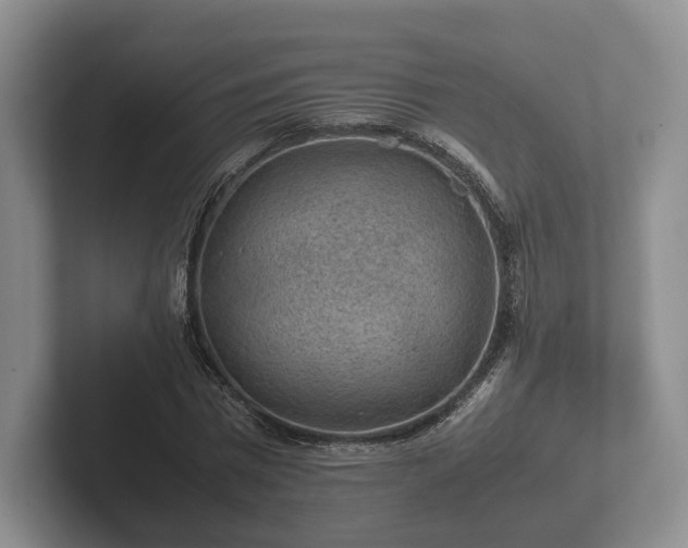 X0000102380777200808081137