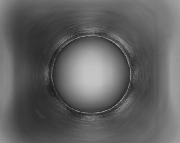 X0000102380778200808081136