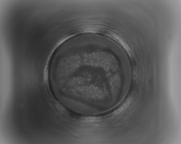 X0000102380779200808081136