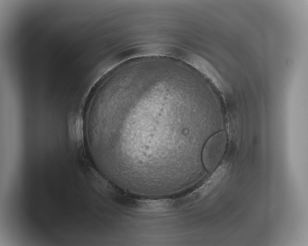 X0000102380781200808081136