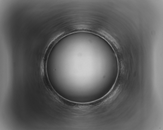 X0000102380782200808081136