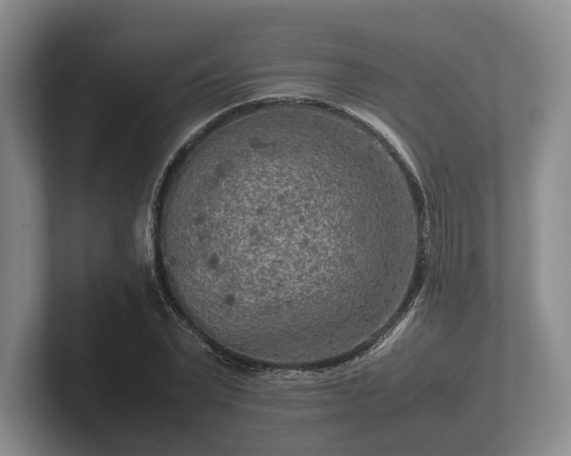 X0000102380783200808081136