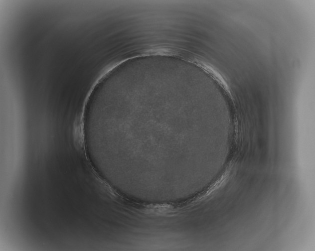 X0000102380784200808081136