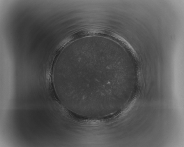 X0000102380785200808081136