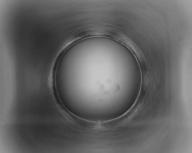 X0000102380787200808081136