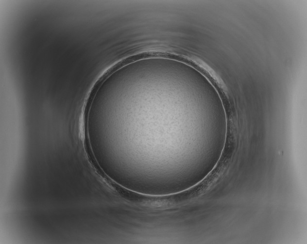 X0000102380791200808081136