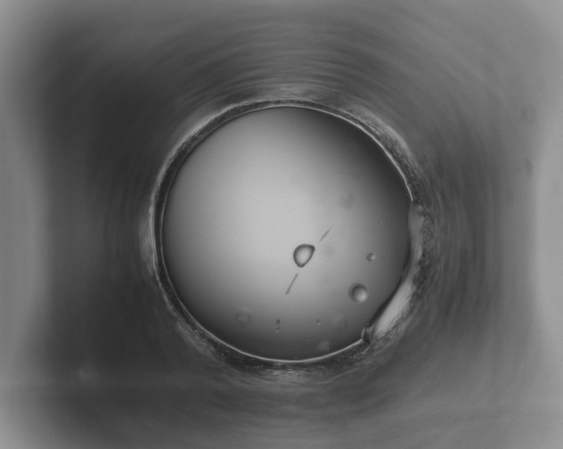 X0000102380792200808081136