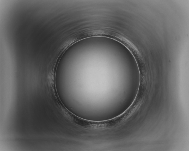 X0000102380793200808081136