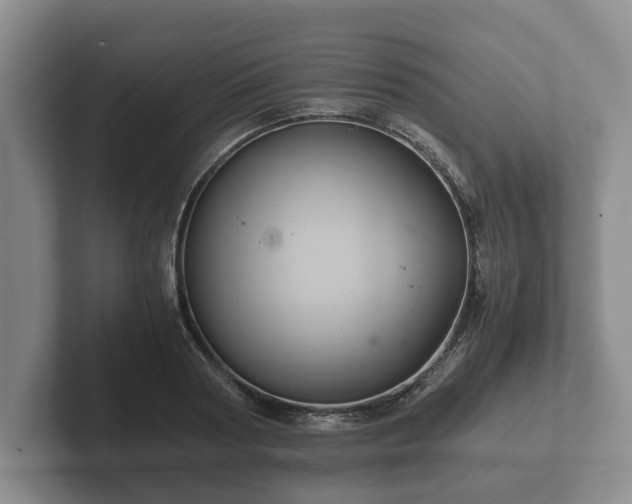 X0000102380794200808081136